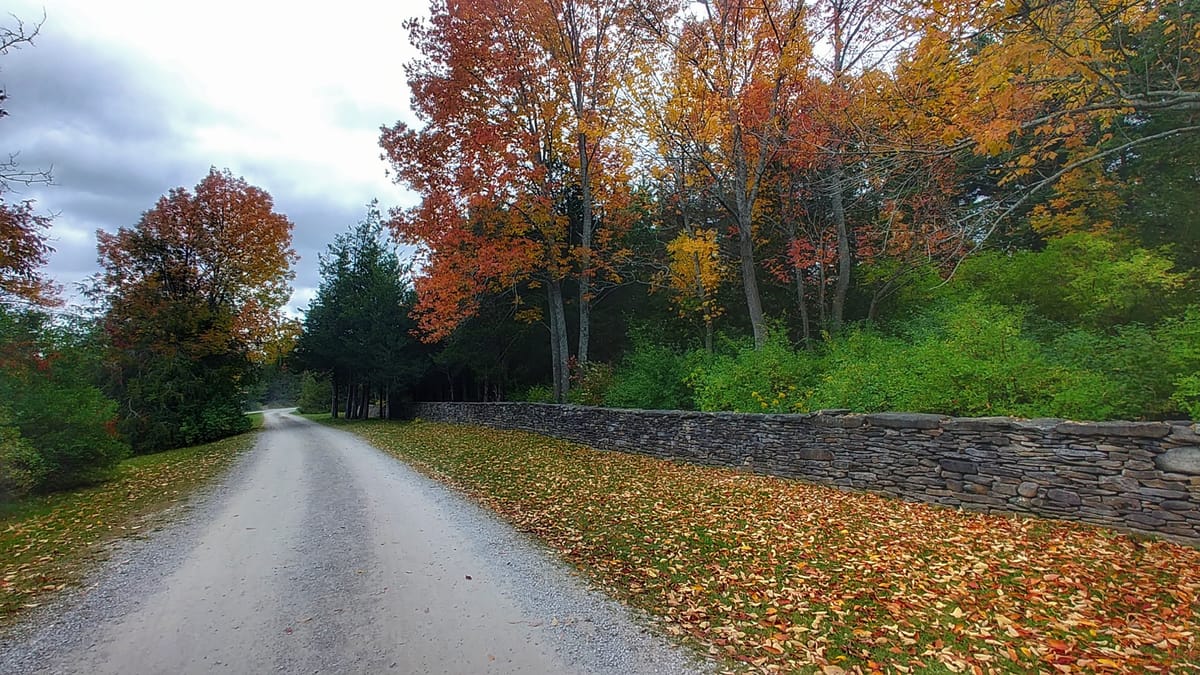 Ferris Provincial Park is the perfect fall camping trip