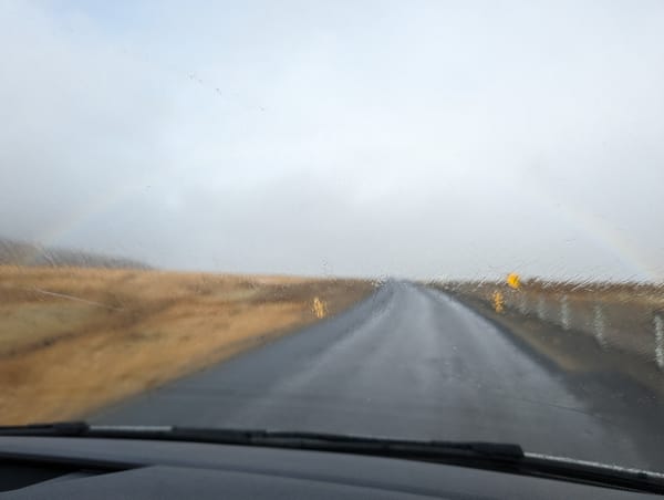 Day Four - Exploring Iceland's Southeast